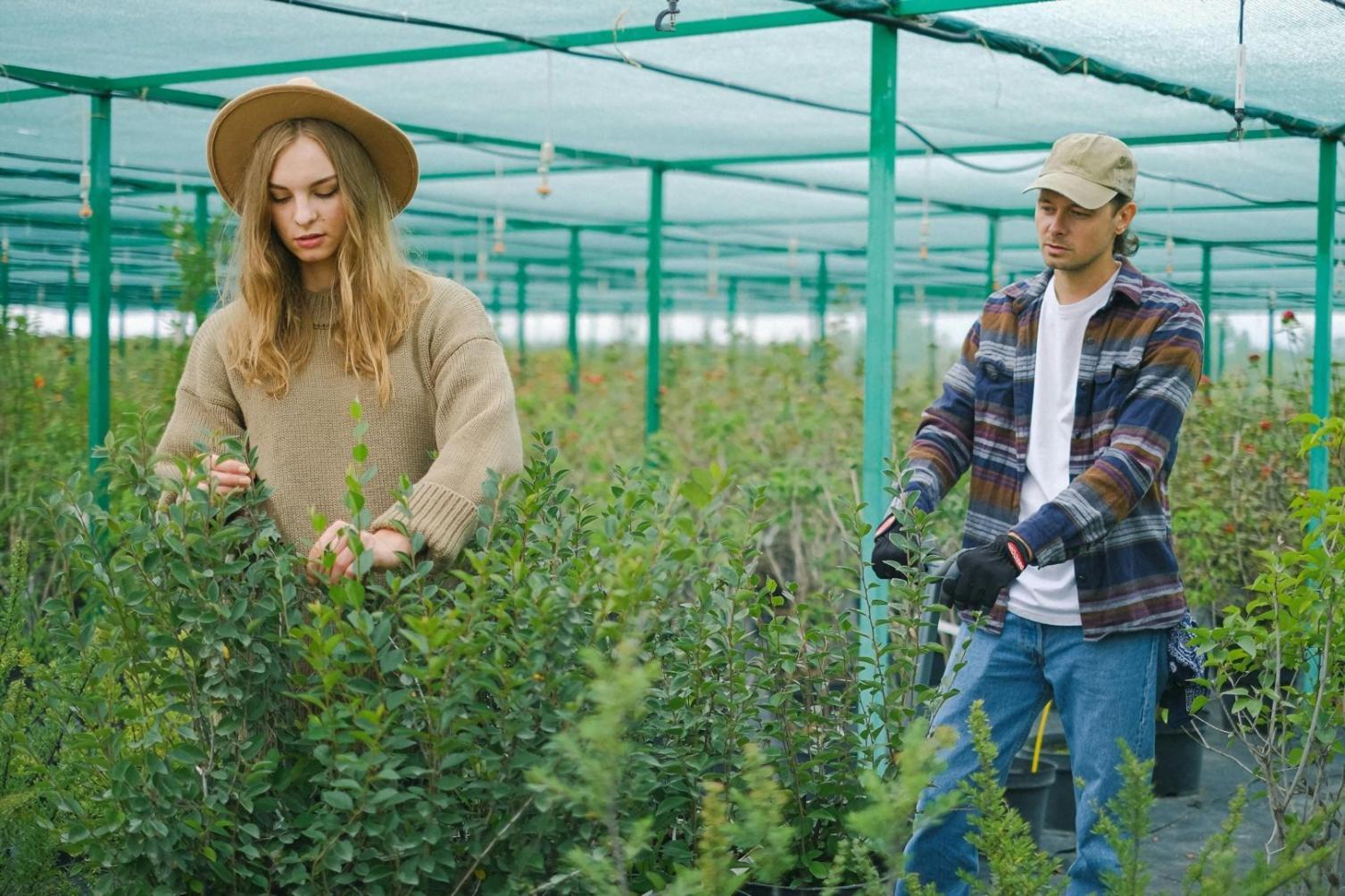 Профессиональное обучение флористике в отельной индустрии