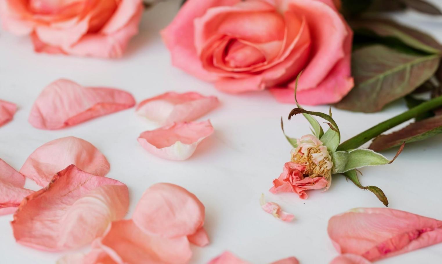 Процесс создания флористической композиции