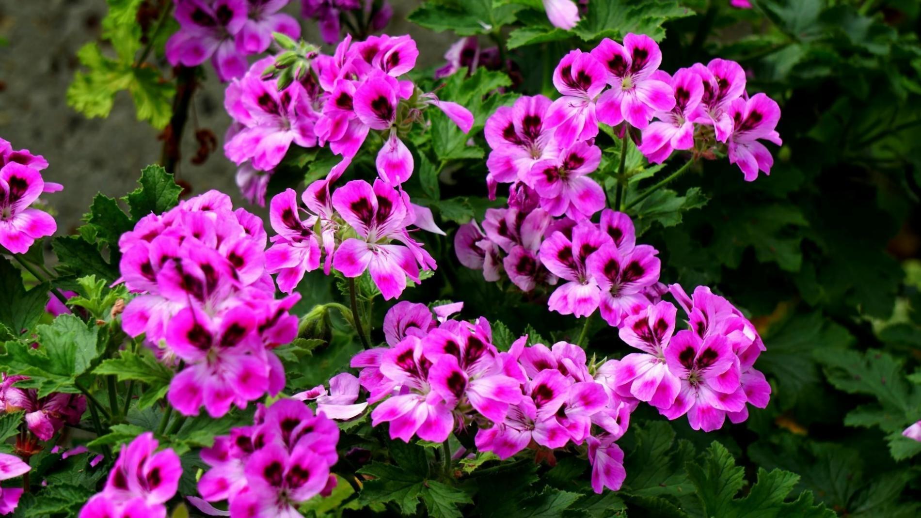 Процесс создания отельной композиции