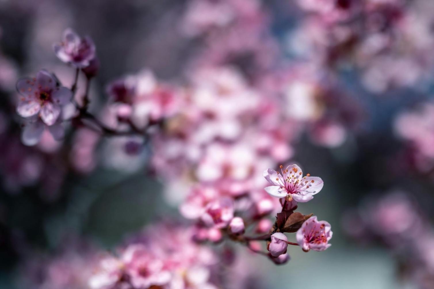 Внешний вид здания учебного центра на улице Ташкентская в Таразе